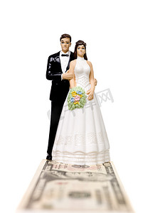 idea小人摄影照片_站在美元钞票上的新婚夫妇