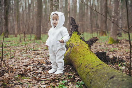 森林里一棵倒下的树旁穿着熊服的可爱婴儿