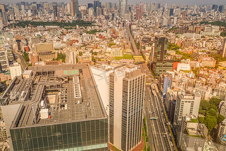从新宿市的涩谷天空展望台