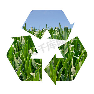 玉米田的回收标志