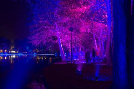 比利时城市湖泊公园的霓虹灯夜间表演，树木被照亮