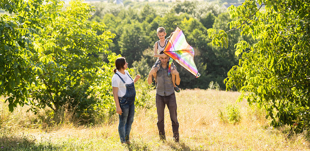 幸福的家庭与怀孕的妻子一起在夏日放风筝