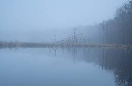 浓雾森林摄影照片_森林和浓雾中的野生湖泊
