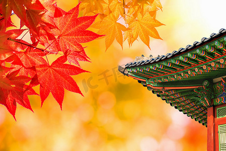 有五颜六色的秋叶的景福宫在汉城，南部