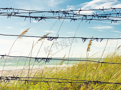 玫瑰花带刺摄影照片_透过带刺铁丝网可以看到通往佛罗里达海滩的小路