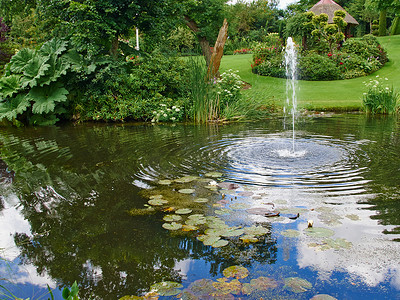 花园中的观赏池塘和喷泉
