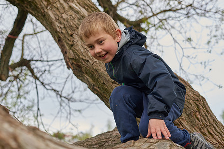 一个男孩爬树