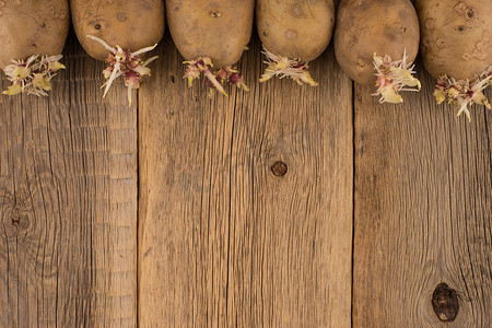 发芽土豆摄影照片_用于在木质表面种植的发芽土豆