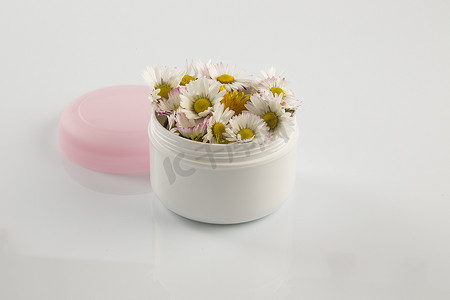 化妆品奶油盒中的雏菊和蒲公英