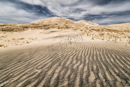 加州莫哈韦沙漠