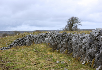 爱尔兰的石场墙