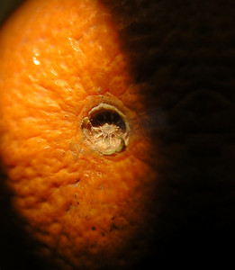 波状橙皮细节