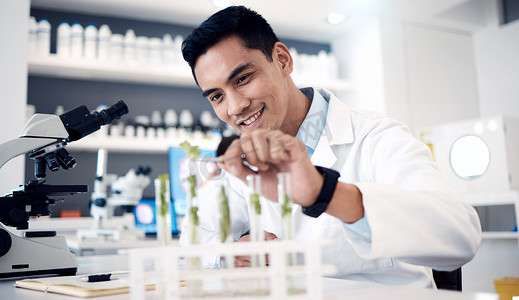 实验室、显微镜或试管中的科学家、植物和研究，在工作中具有创新、分析或快乐的微笑。