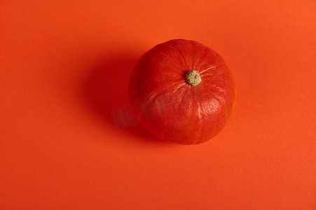 与小有机南瓜的单色静物画，隔绝在明亮的橙色背景。