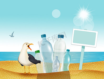 沙滩上的海鸥与塑料垃圾