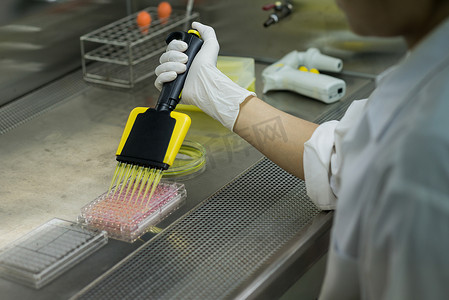 孔板摄影照片_研究人员将测试液转移到 96 孔板中用于微生物