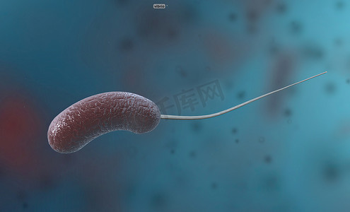 复活的军团摄影照片_弧菌是一种由弯曲的杆状革兰氏阴性菌组成的细菌。