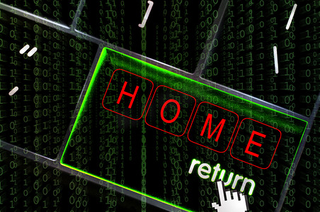 Home 专注于用二进制代码覆盖的返回按钮