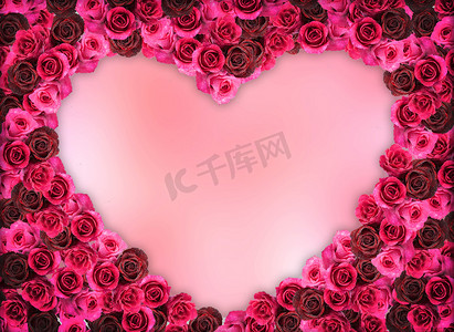 粉红色空白空间上的一组玫瑰花框