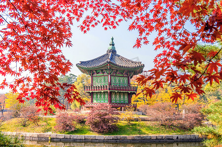 金色百福底纹摄影照片_韩国秋天的景福宫和枫树。