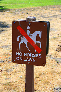 草坪标志上没有马