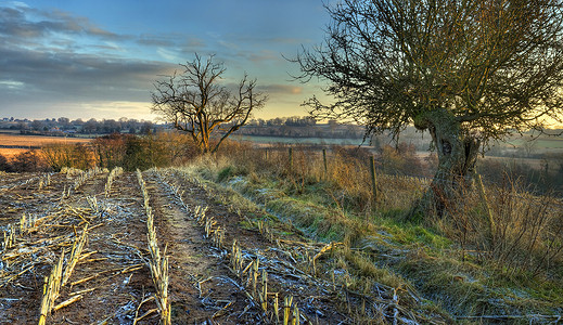 冬天的农田摄影照片_冬天的伍斯特郡农田
