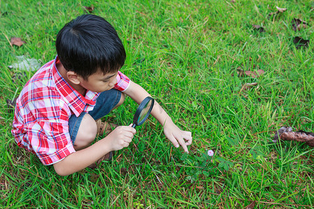 探索自然摄影照片_小男孩用放大镜探索自然。