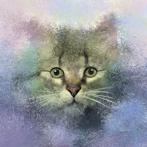 猫油画抽象肖像