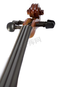 春小提琴摄影照片_小提琴