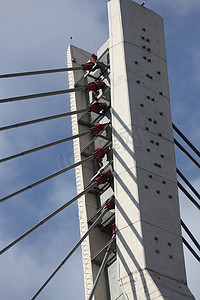 塔式斜拉桥
