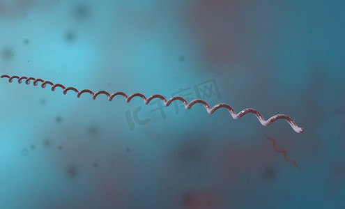 螺旋菌是变形杆菌门的一种细菌，具有螺旋形细胞形态。