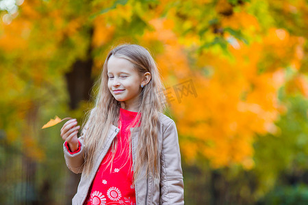 秋天黄树背景可爱小女孩的画像