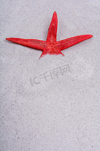 沙子背景中的红海星
