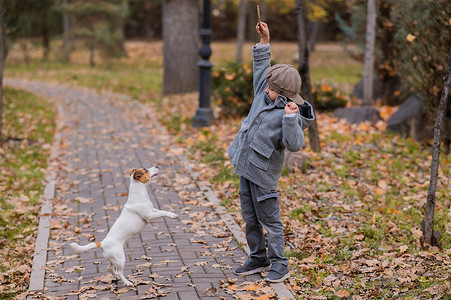 男孩和狗玩耍摄影照片_白人男孩和一只狗在秋天的公园里散步。