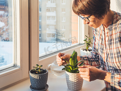 女人在窗台上的花盆里照顾肉质植物。