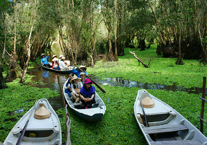 湄公河三角洲摄影照片_湄公河三角洲、茶苏靛蓝森林、生态旅游