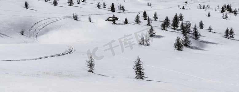 Pralongià、雪和树木 - 多洛米蒂山，意大利