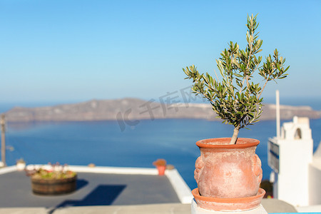 圣托里尼岛上有植物希腊岛场景的大型陶瓷