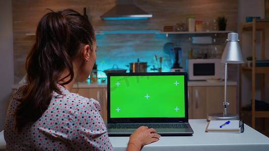 女人看着带绿色模型的笔记本电脑