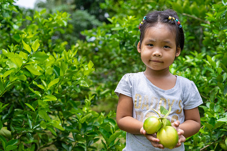 花园里孩子手里拿着绿色美丽的新鲜酸橙