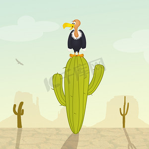 沙漠中仙人掌上的秃鹰