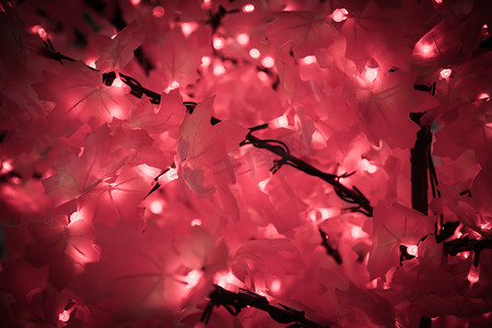 假粉色枫木和电子灯