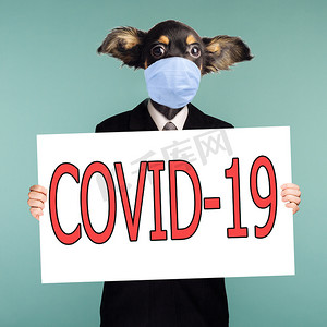 将商人和狗头结合在外科口罩中的拼贴画可以防止冠状病毒。