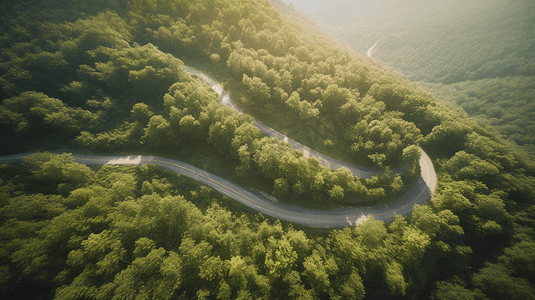 蜿蜒小路摄影照片_从空中俯瞰树林中一条蜿蜒的小路