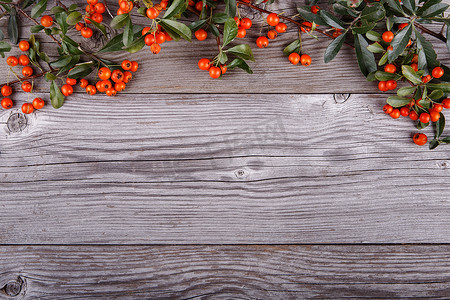 旧木纹板上的橙色火棘浆果