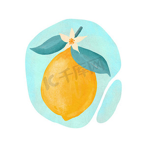 手绘插图黄色柠檬与蓝色叶子绿松石背景。
