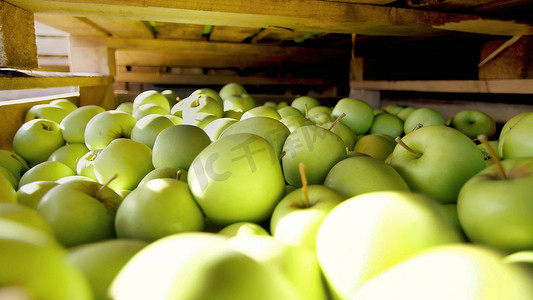 水果加工厂、仓库的特写、木制容器、盒子、篮子，上面装满了绿色美味的大苹果。