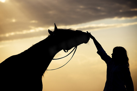 香港赛马摄影照片_女人和马
