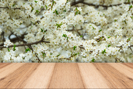 温暖海报摄影照片_与木甲板桌的春天开花背景