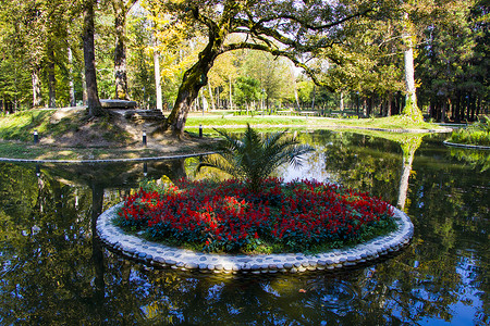 公园里的池塘，祖格迪迪植物园